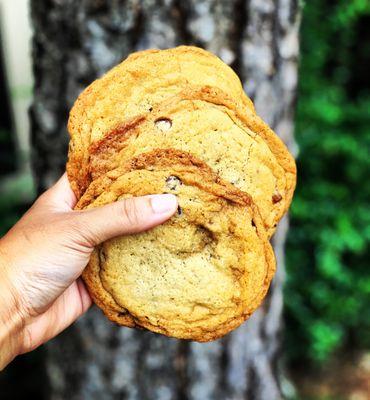 JUMBO Chocolate Chip Cookies