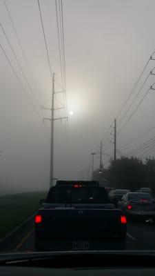 Beautiful foggy morning makes up for all the traffic.