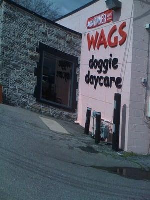 Wags Doggie Daycare