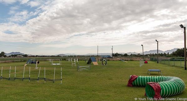 Training facility at Las Cruces Dog Sports