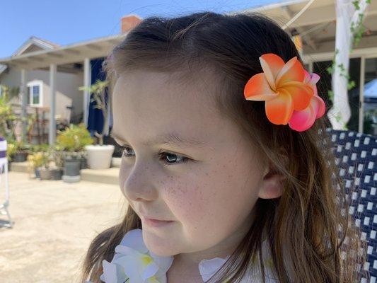 Plumeria hair clips and leia.