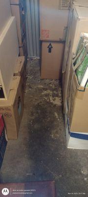 rat poop on floor of storage unit