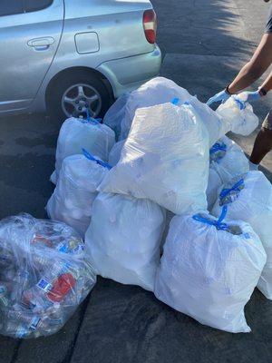 Our bags ready to be sorted for recycling