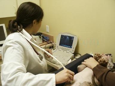 State of the Art Ultrasound Diagnostics