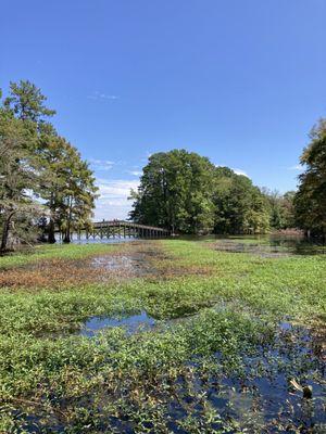 Martin Dies Jr State Park