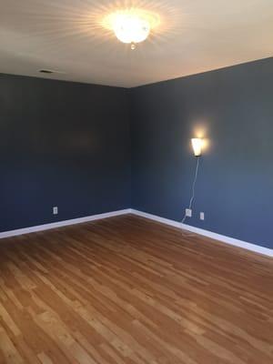 New vinyl hardwood floor.