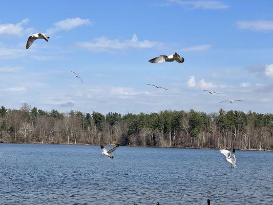 Loch Raven Reservoir