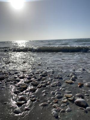 Sanibel beach