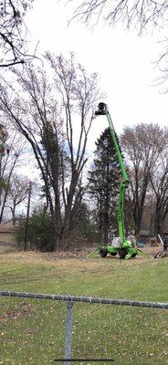 Quality Tree and Landscaping