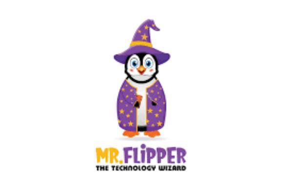 Mr Flipper the Technology Wizard