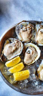 Raw Oysters