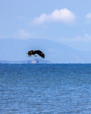 Dungeness Spit Trail