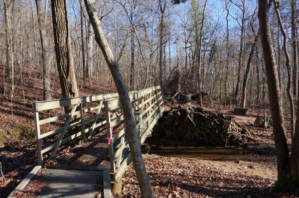 Between WP 7 and WP 9 on the map. Fallen tree has uplifted the bridge. Still passable.