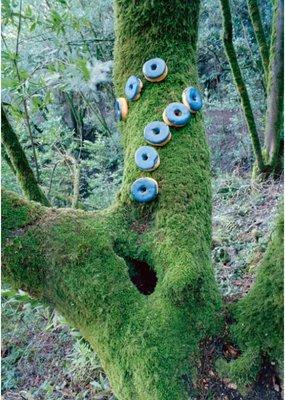 I was inspired by the blue donuts from Dunkin Donuts in Atlanta airport, and so later in the year I posed these blue donuts in the forest.