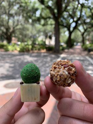 Topiary and Savannah Peach