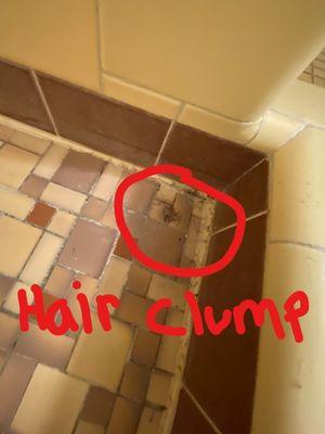 Hair in the shower...gross!