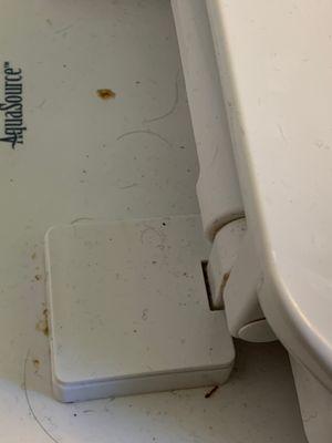 Back of toilet seat