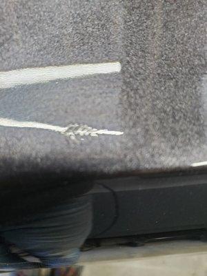 Fingerprint embedded in the clearcoat