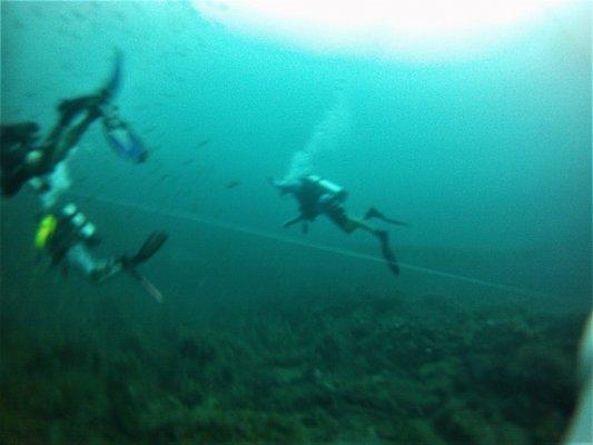 Diving the East Stack Bridge Rubble