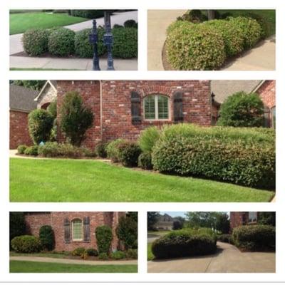 It is Time for Fall Cleanup. Mulch install, Weeding, Shrub Trimming, Gutter Cleaning, etc. Call us for your free quote!...