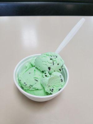 Small mint chocolate chip