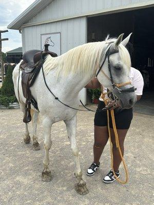 CJ was the lead horse he was so sweet