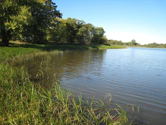 33.64 Acres in Delano - 320' road frontage, 660' lakeshore, tillable, pasture, woods & abundant wildlife. $649.900