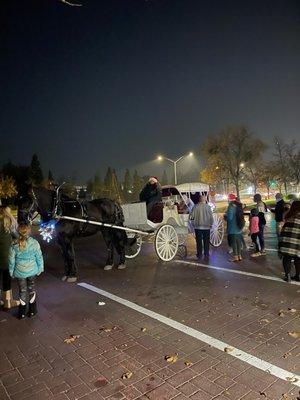 My favorite, Horse Carriage ride, around the complex.  It was beautiful.