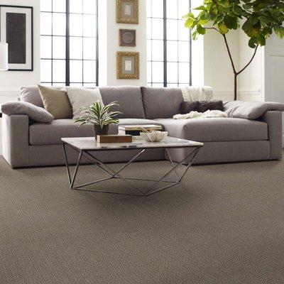 All grade, quality, style and color of carpet available from major suppliers such as Mohawk, Shaw, Engineered Floors etc.