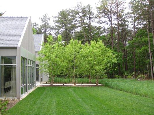 Formal Landscape in East Hampton