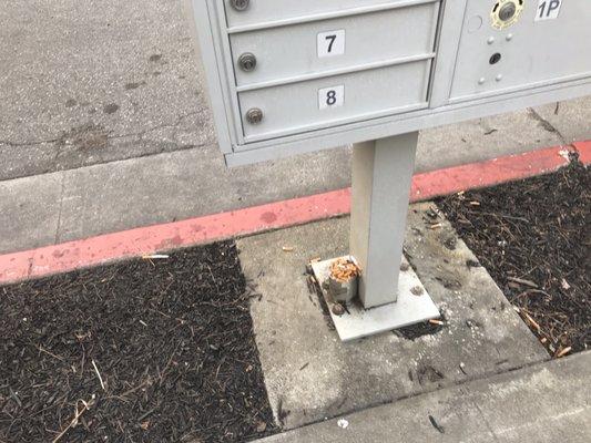 Cigarette depot under mailbox