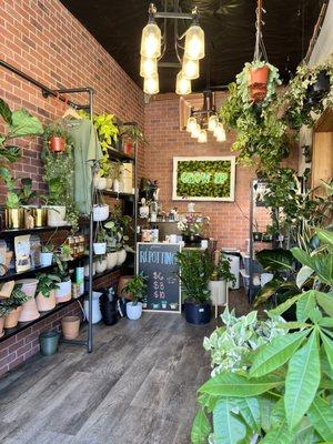 The plant shop also owned by coffee shop next door