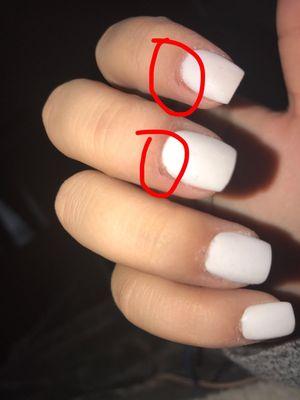 My photos didn't post, here are my cut up cuticles