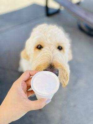 Snoqualmie Ice Cream