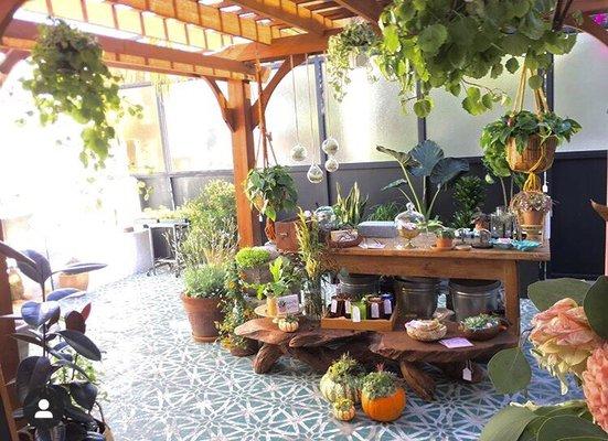 Patio space