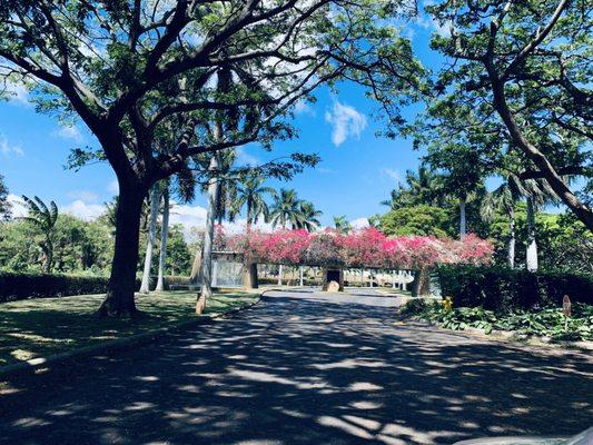 Entrance/Exit to Honolulu Country Club