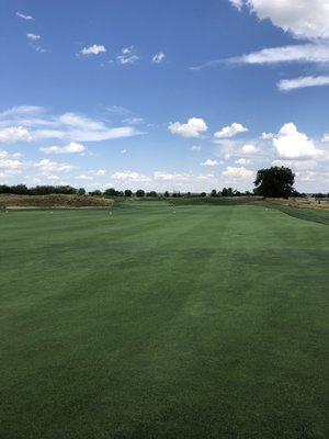 Super beautiful fairways