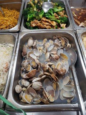 Manila clams