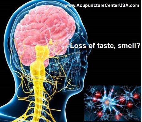 Loss of Taste, Smell?
 Delivering World-Class, 7th Generation Neuromedicine Acupuncture Care for All Types of Neuropathy.