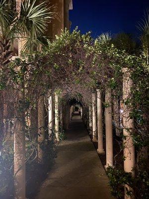 Beautiful trellis that you walk through to get to the other pool area.