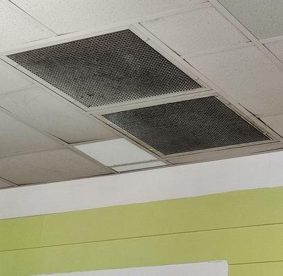 Nasty, filthy, disgusting ventilation filters.