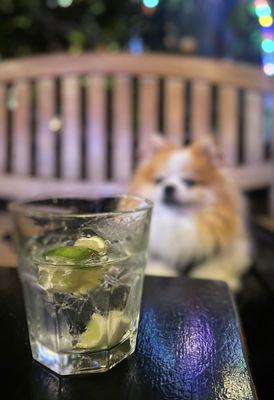 Hella generous pour of Hendricks...until I spilled the entire glass. = / ($10 cc minimum + dog-friendly patio)