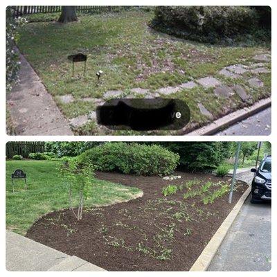 New Mulch Bed