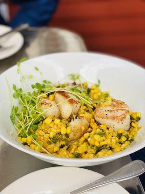 Scallops over corn salsa