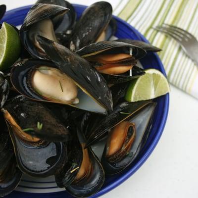 Wild mussels, perfect for steaming with a crusty baguette