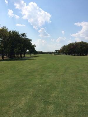 18th green from fairway