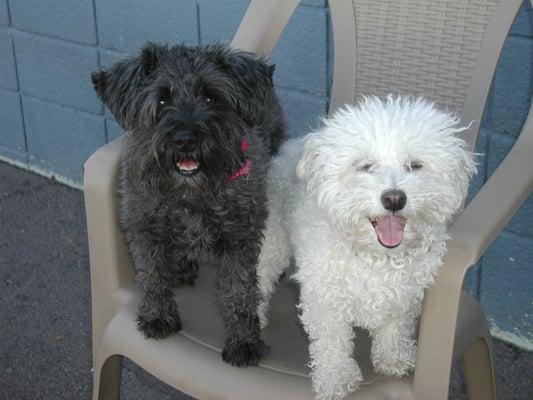 Siblings Share a Chair