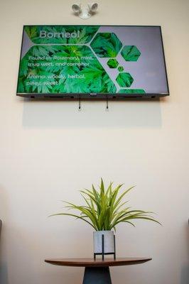 Vytal Options Medical Marijuana Dispensary Lansdale