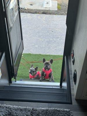 The queens in their new Jayco! Thanks Gary!!!