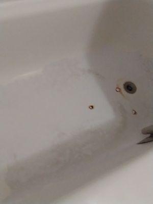 Rust and decay in tub